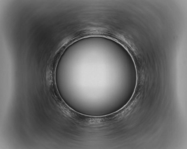 X0000116431211200912081517
