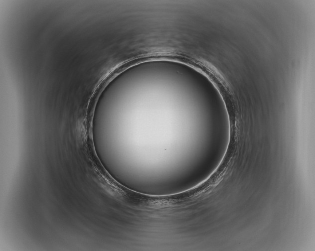 X0000116431212200912081517