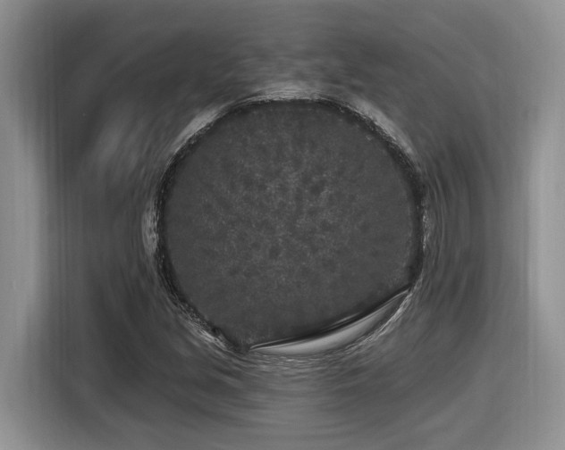 X0000116431213200912081517