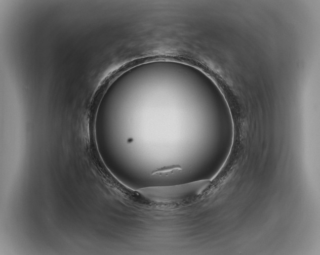X0000116431214200912081517