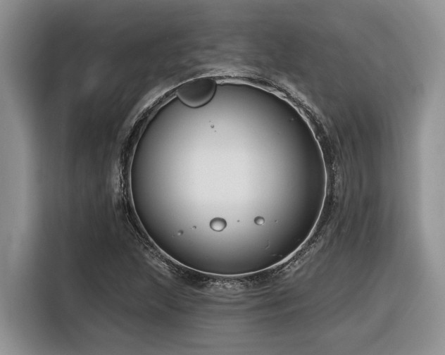X0000116431215200912081517