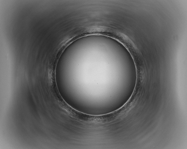X0000116431217200912081517