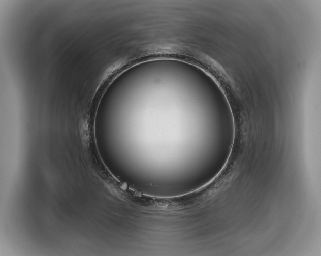 X0000116431218200912081517
