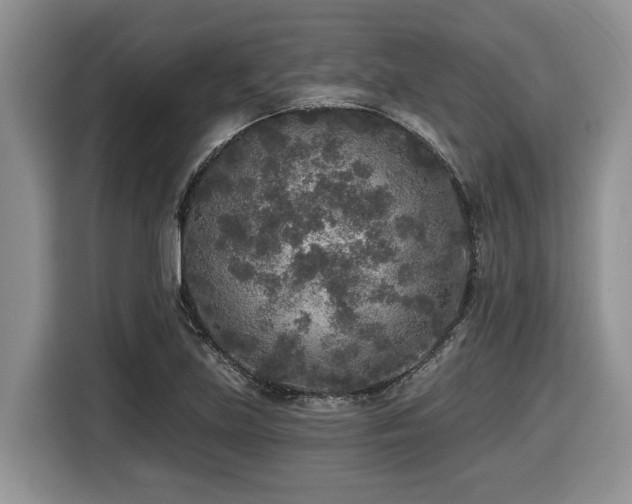 X0000116431219200912081517
