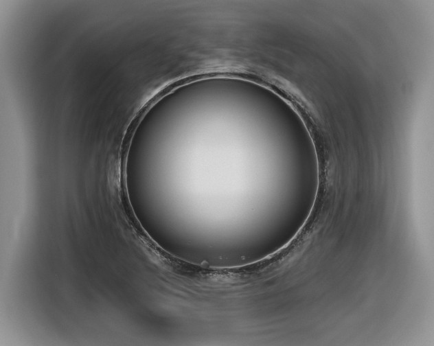 X0000116431220200912081517