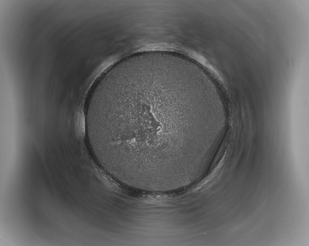 X0000116431221200912081517