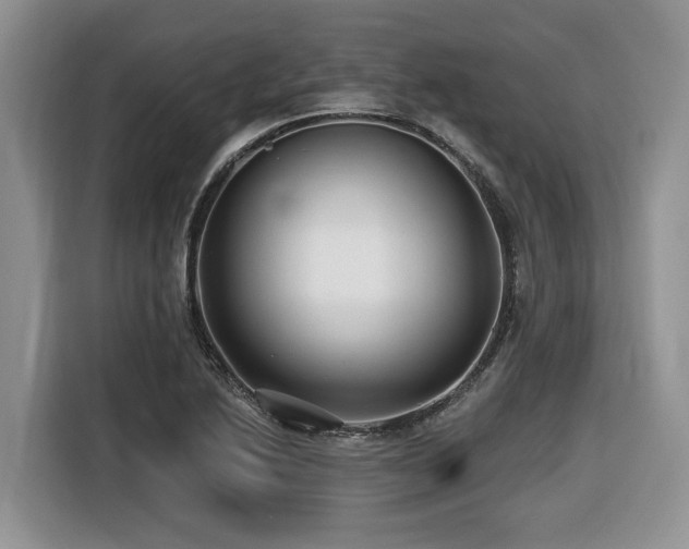 X0000116431222200912081517