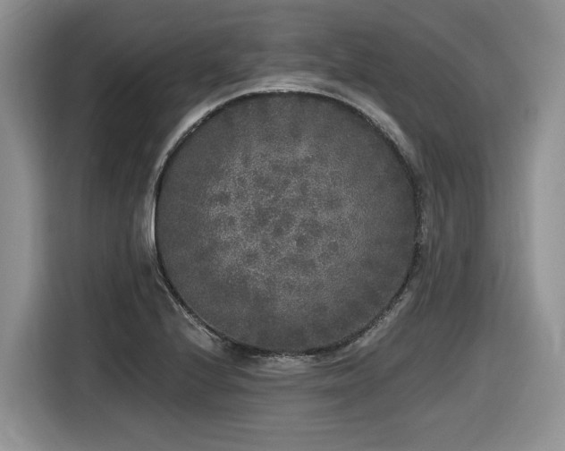 X0000116431224200912081517