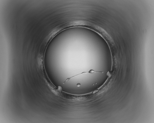 X0000116431225200912081517