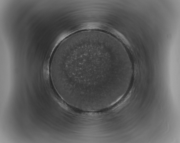 X0000116431226200912081517