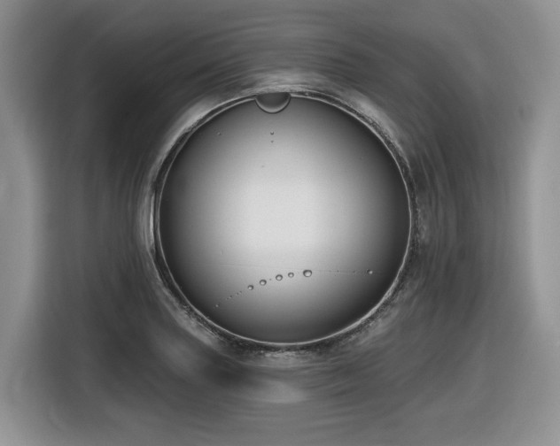 X0000116431227200912081517