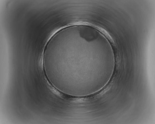 X0000116431228200912081517