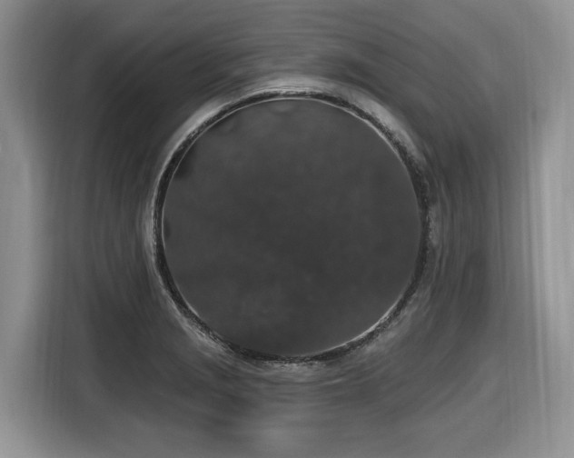 X0000116431229200912081517