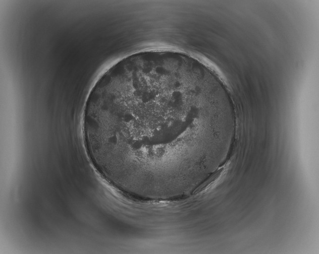 X0000116431231200912081517