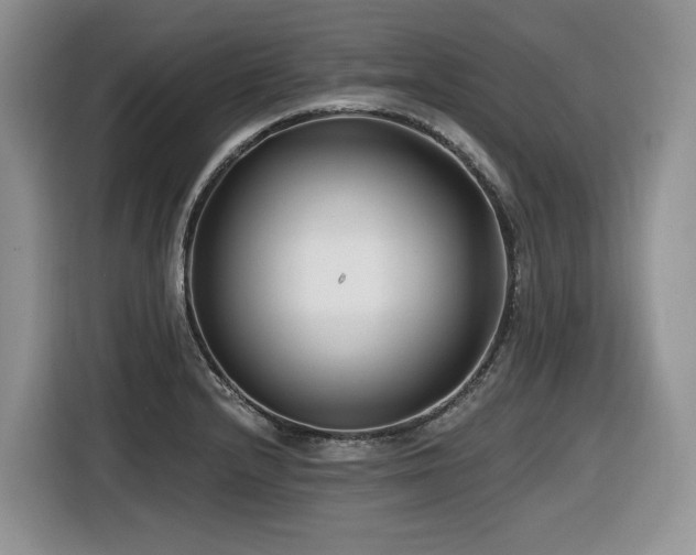 X0000116431232200912081517