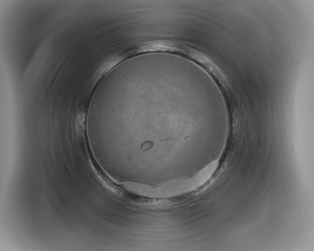 X0000116431233200912081517