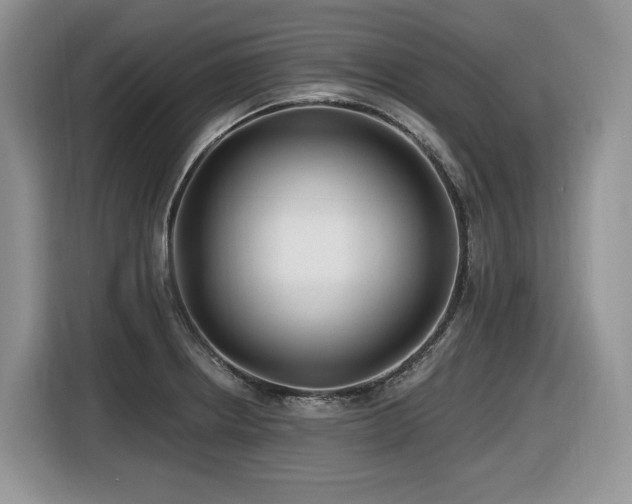 X0000116431234200912081517