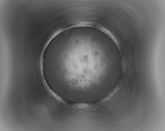 X0000116431235200912081517