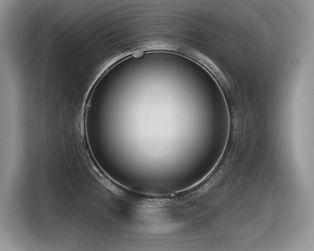 X0000116431236200912081517