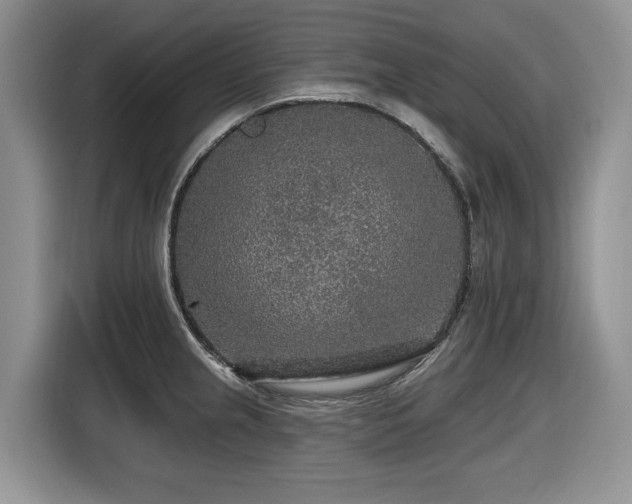 X0000116431237200912081517