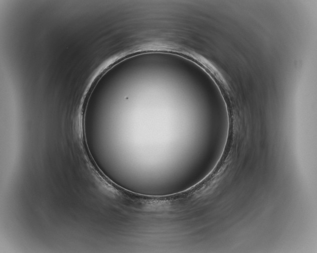 X0000116431238200912081517