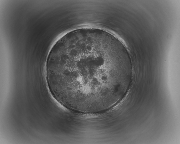 X0000116431239200912081518