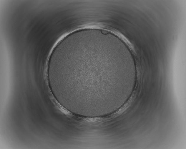 X0000116431240200912081518