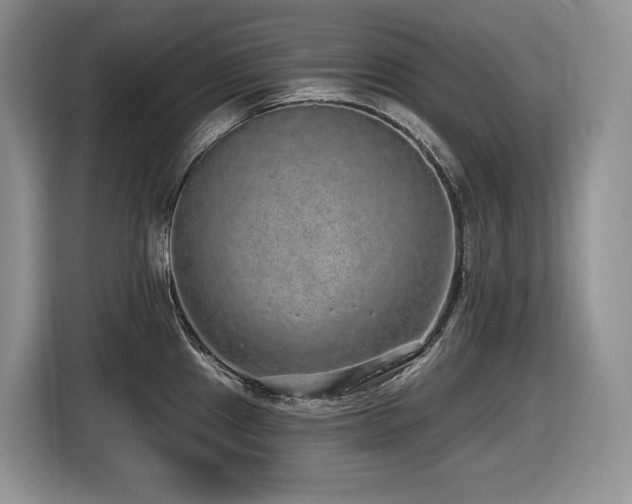 X0000116431241200912081518