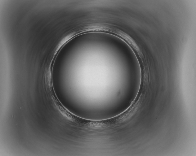 X0000116431242200912081518