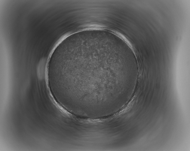 X0000116431243200912081518