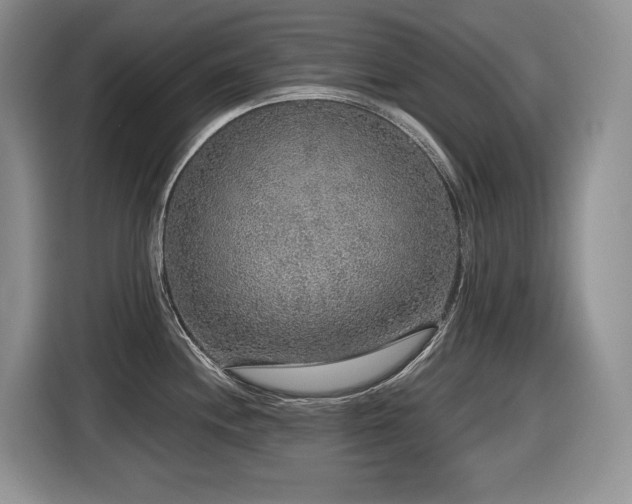 X0000116431244200912081518