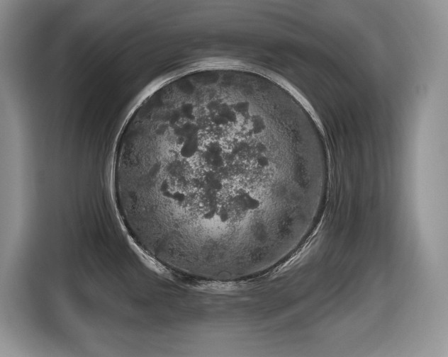 X0000116431245200912081518