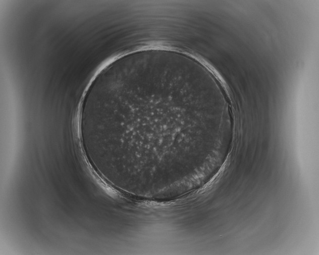X0000116431246200912081518