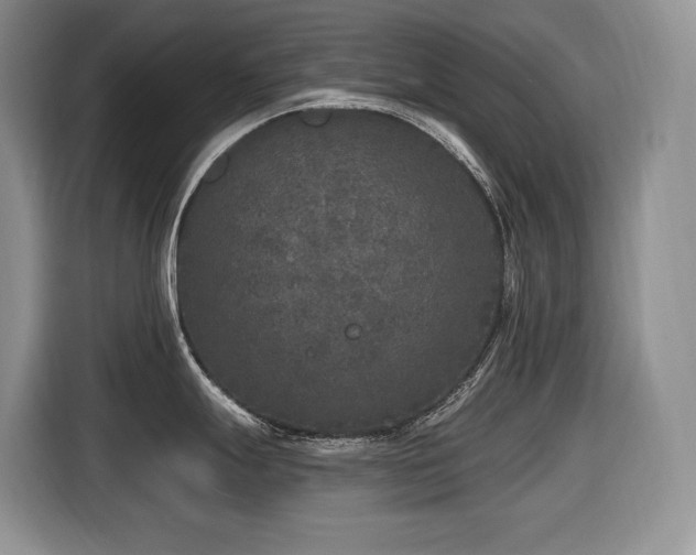 X0000116431247200912081518
