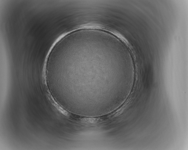 X0000116431248200912081518
