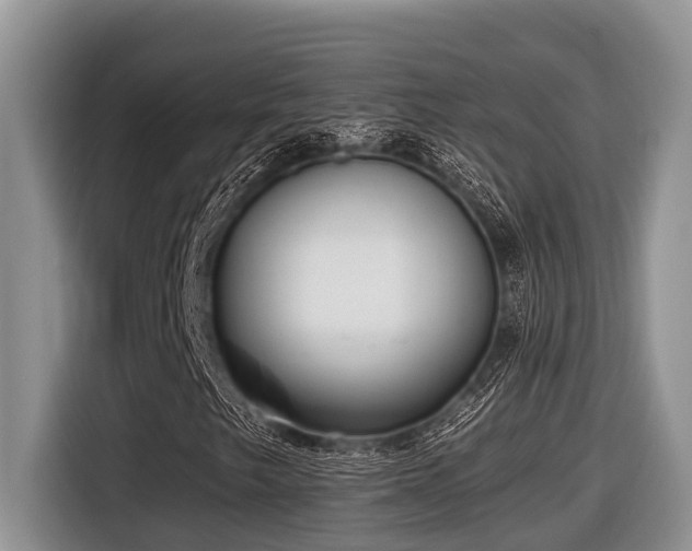 X0000116431249200912081517