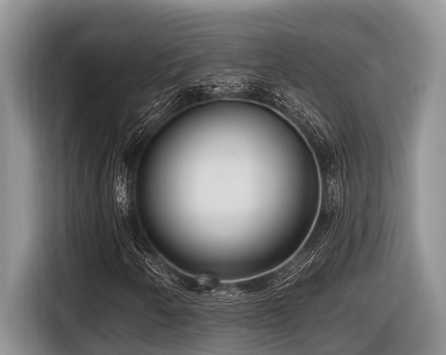 X0000116431250200912081517