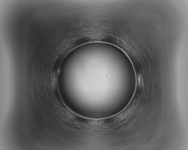 X0000116431251200912081517