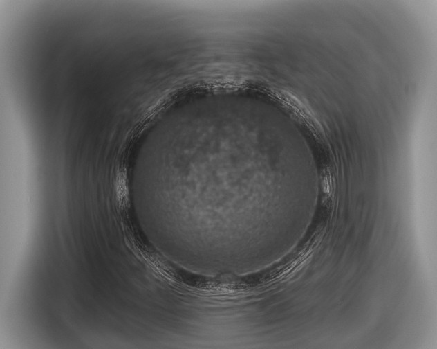 X0000116431252200912081517