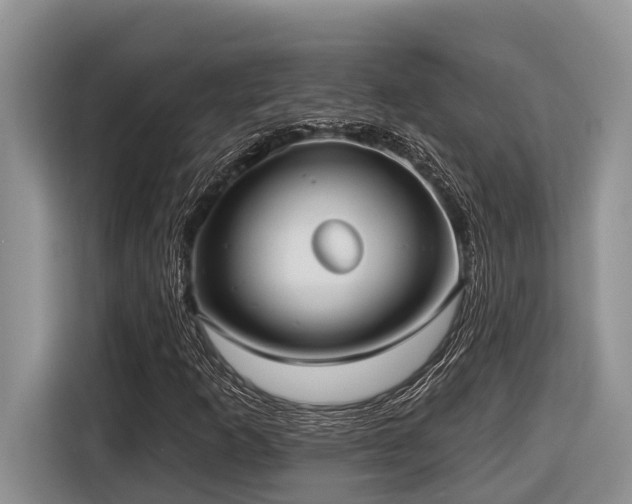 X0000116431253200912081517