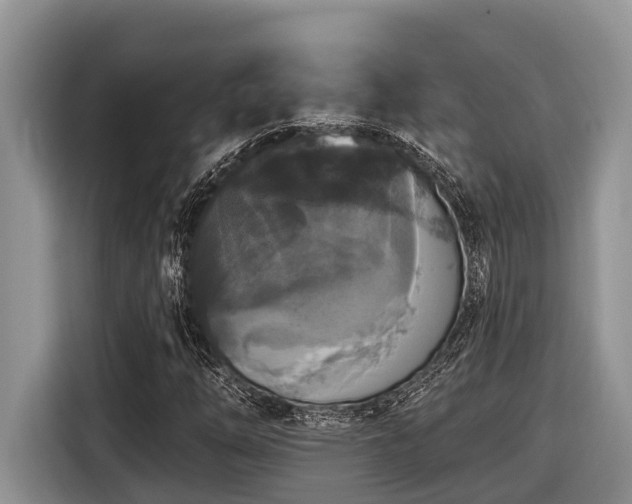 X0000116431254200912081517