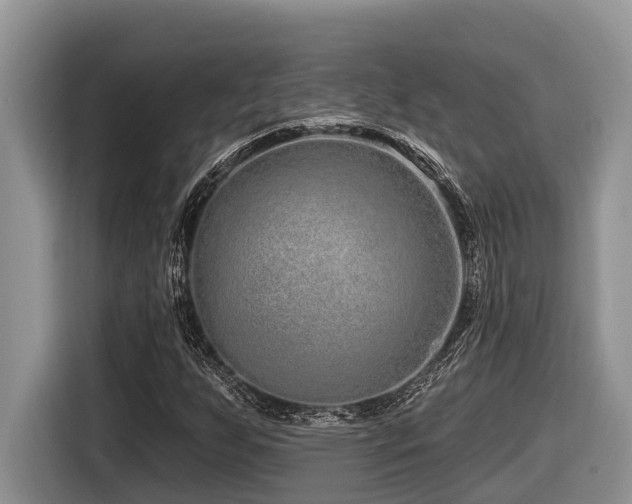 X0000116431255200912081517