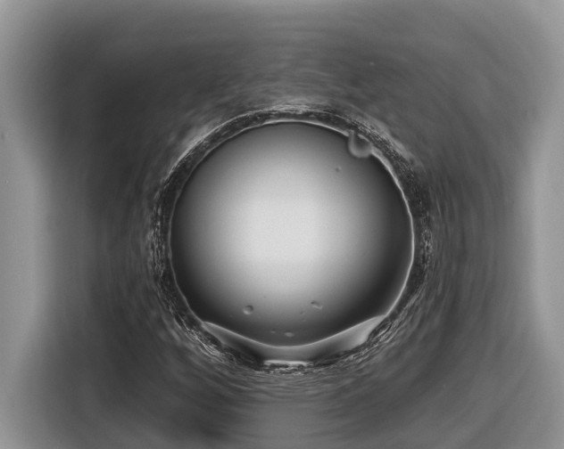 X0000116431256200912081517