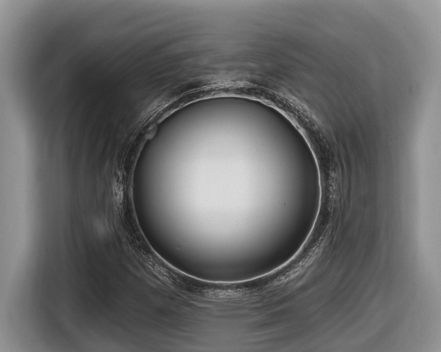 X0000116431257200912081517