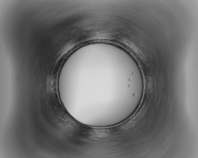 X0000116431258200912081517