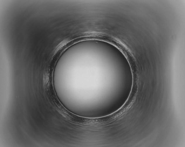 X0000116431259200912081517