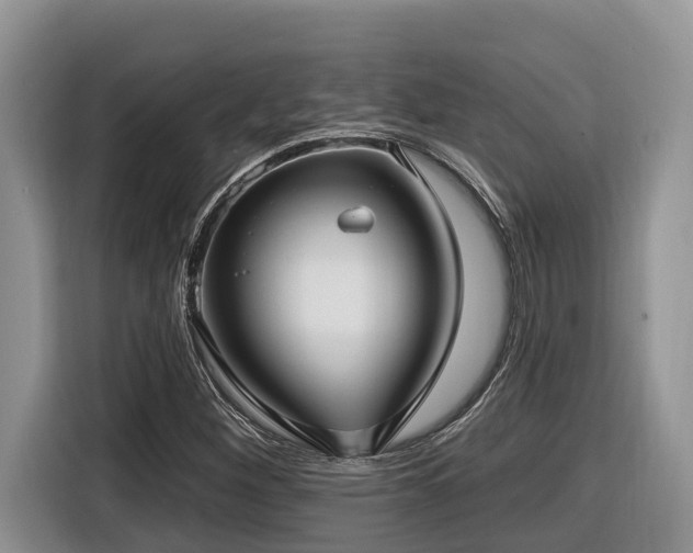 X0000116431260200912081517