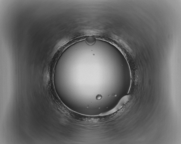 X0000116431261200912081517