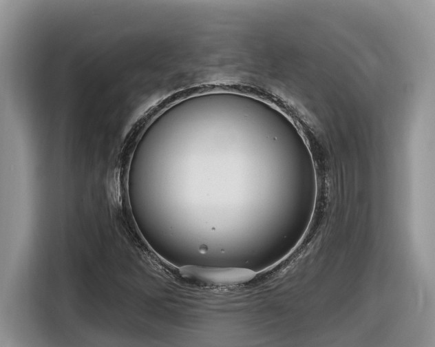 X0000116431262200912081517
