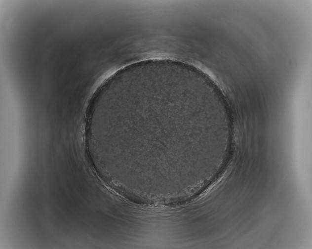 X0000116431263200912081517